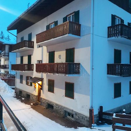 Appartamento Stella Alpina كورتينا دامبيتزو المظهر الخارجي الصورة